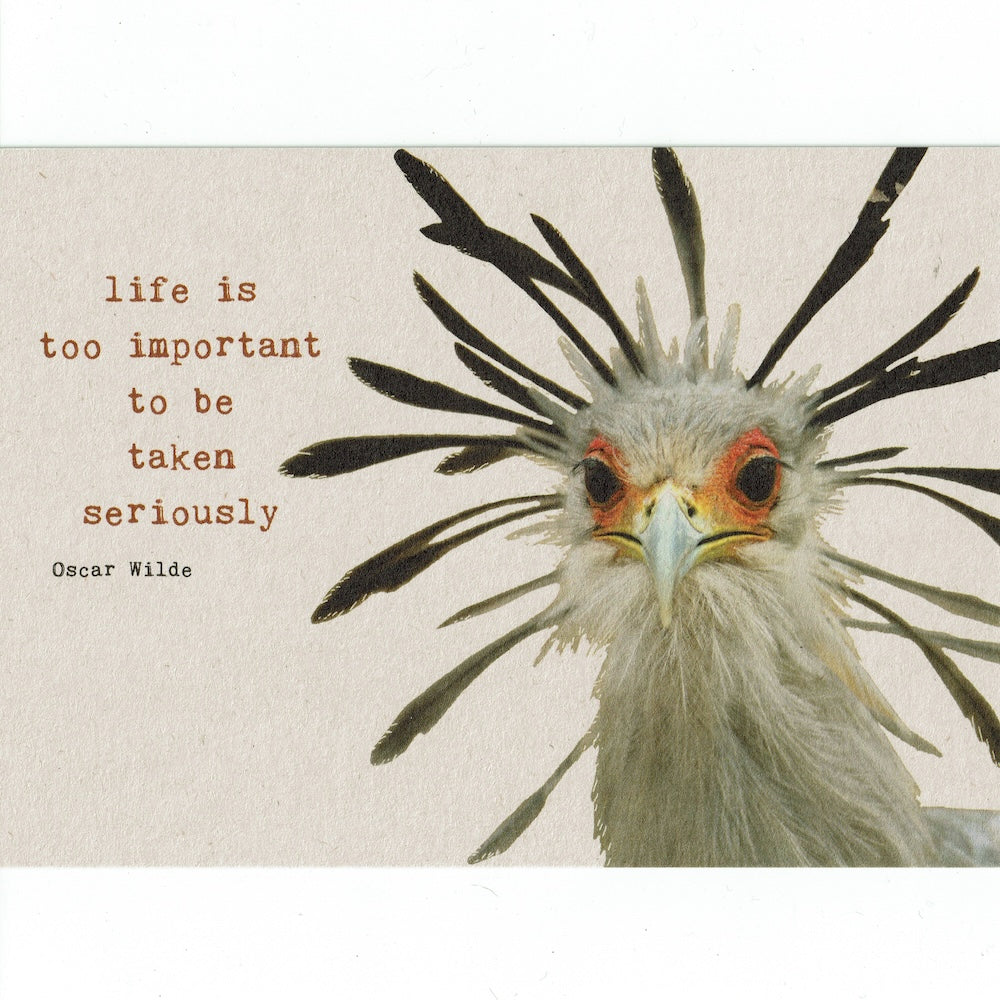 Postkaart Life is too important met struisvogel