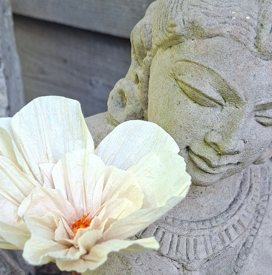 Wensbloem Anemoon met boeddha