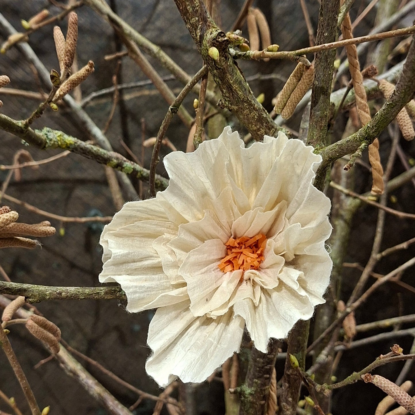 Wensbloem Anemoon decoratie
