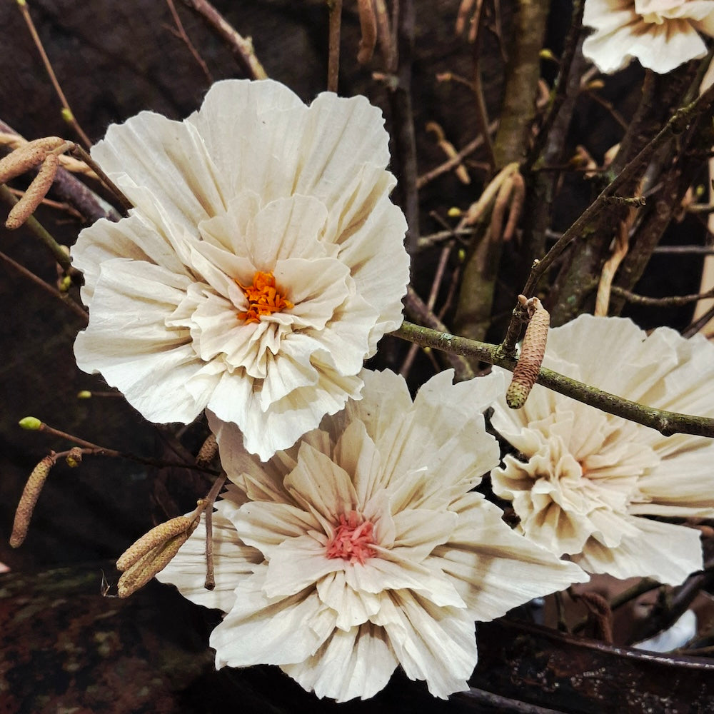 Wishing bloom Lotus decoration