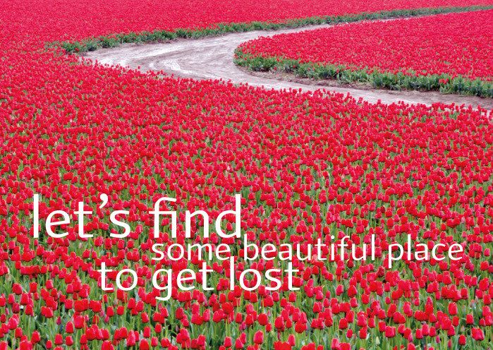 Postkaart Let's find