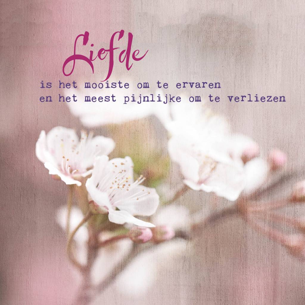 Postkaart Liefde is het mooiste