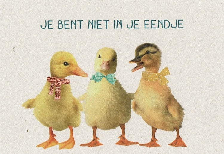 Postkaart Je bent niet in je eendje