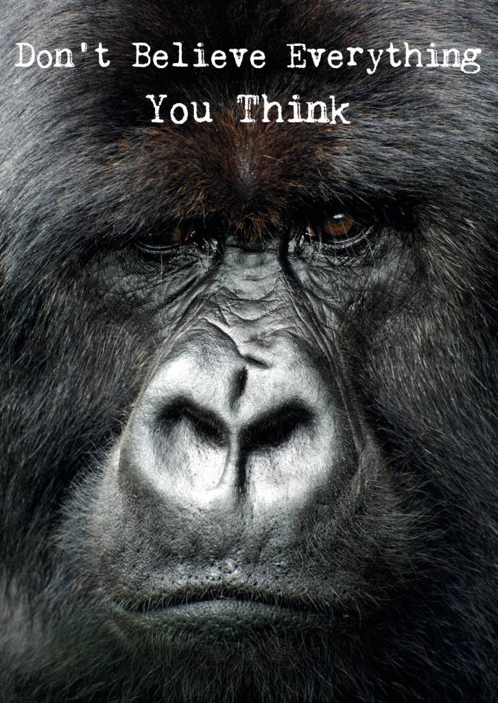 Postkaart Don't believe everything you think