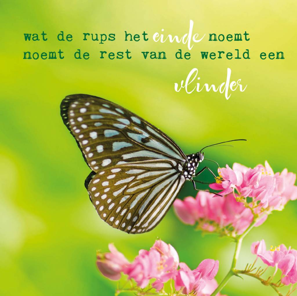 Postkaart Wat de rups