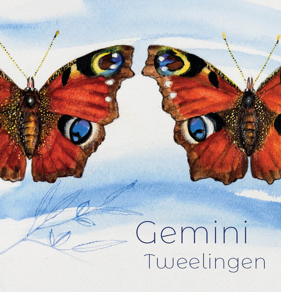 Postkaart Tweelingen