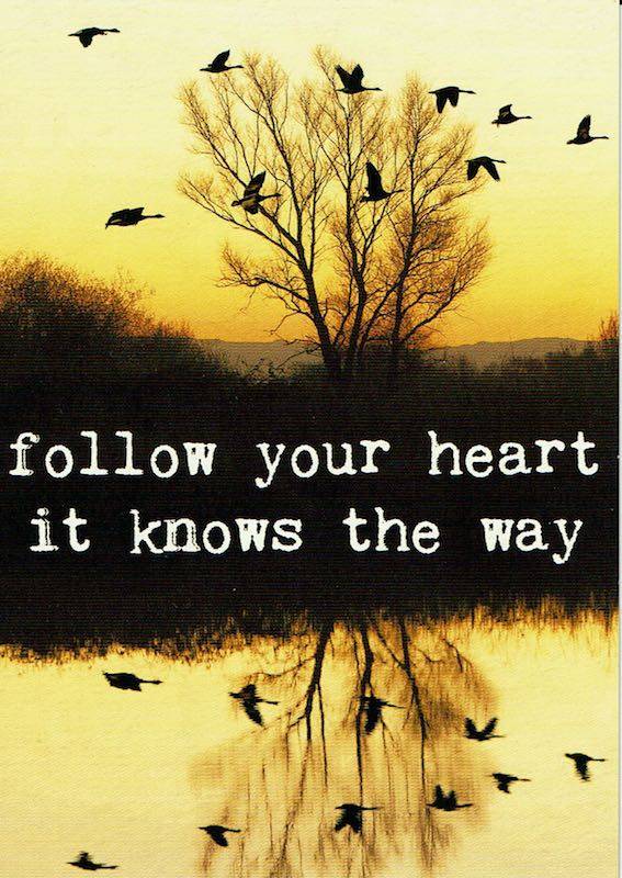 Postkaart Follow your heart