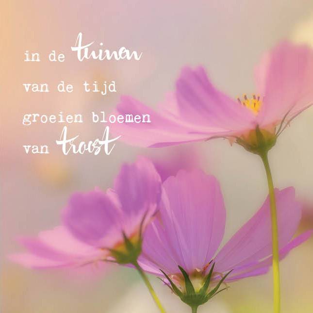 Postkaart In de tuinen van de tijd