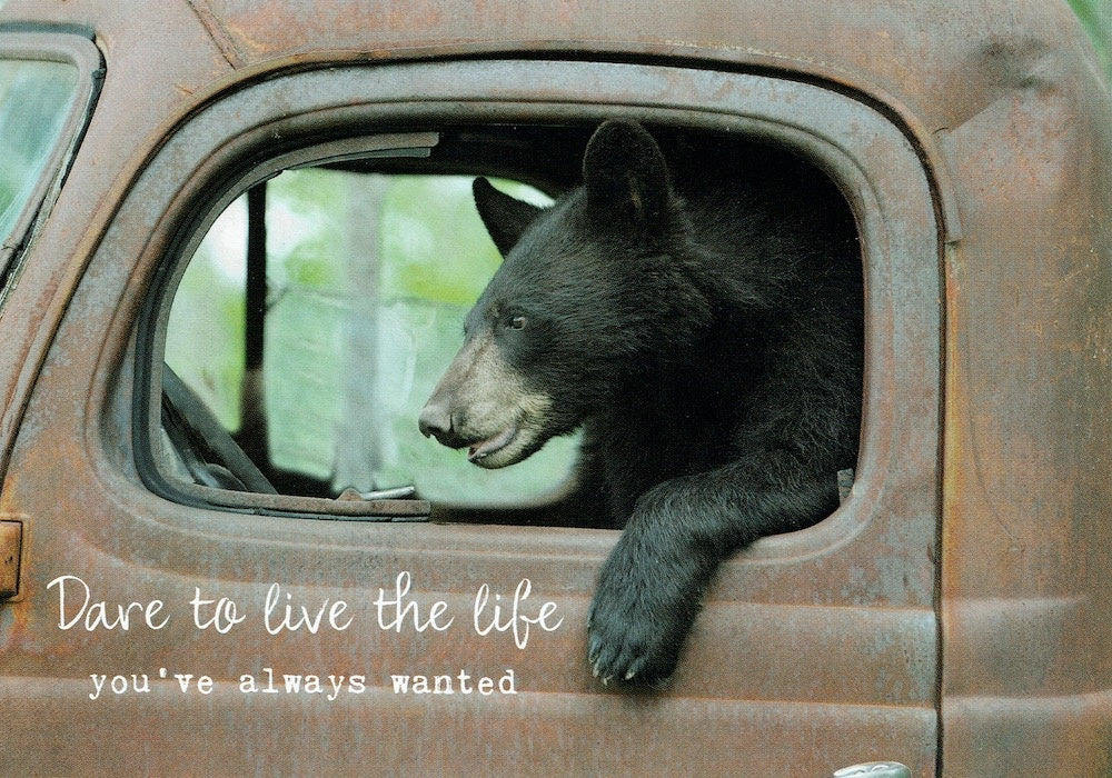 Postkaart Dare to live the life