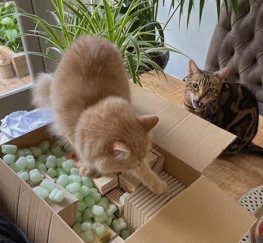 Natuurlijk en Fair Trade