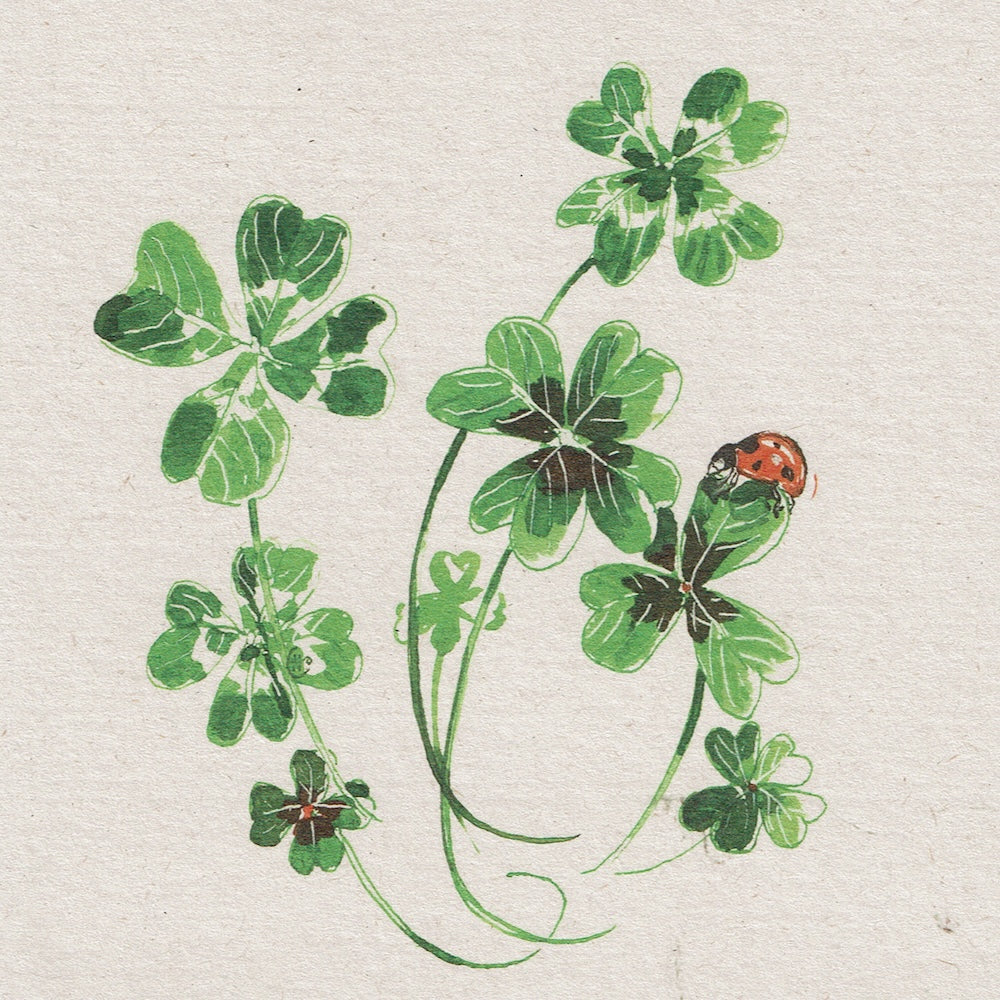 Postkaart Klavertjes vier