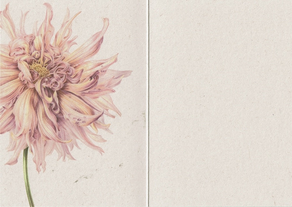 postkaart Dahlia binnenzijde blanco