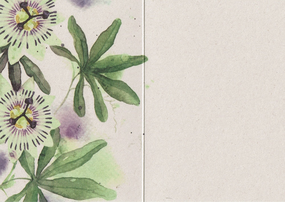 Postkaart passiebloem zonder tekst