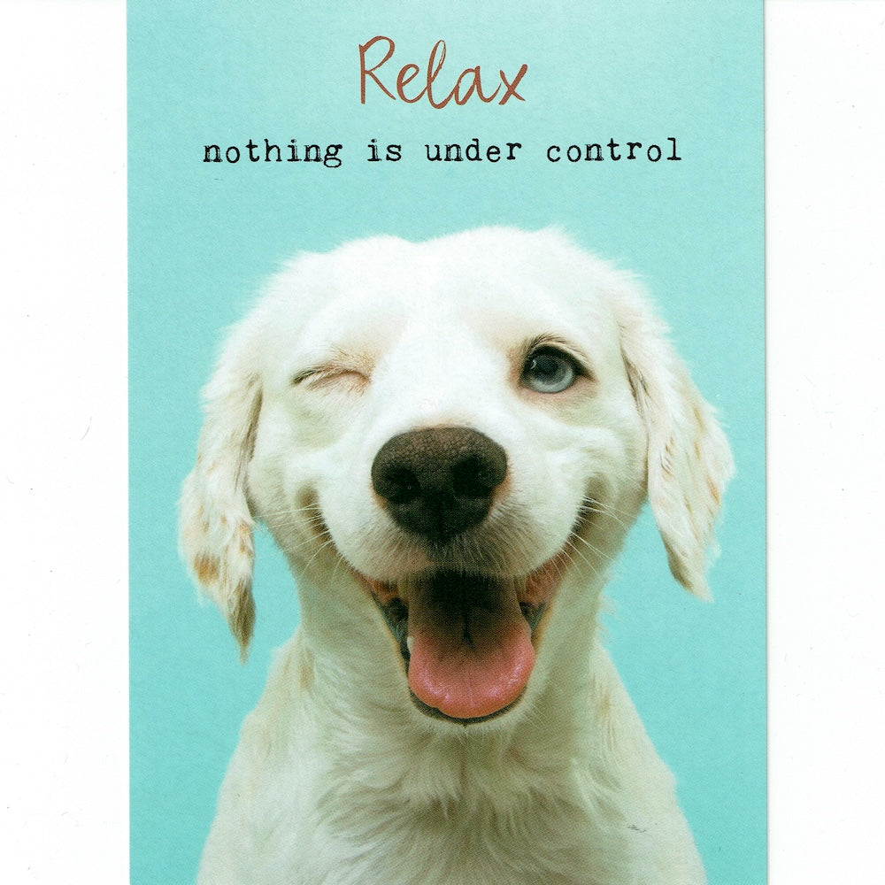 Postkaart Relax nothing is under control