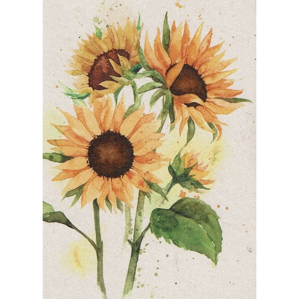 Postkaart Zonnebloemen