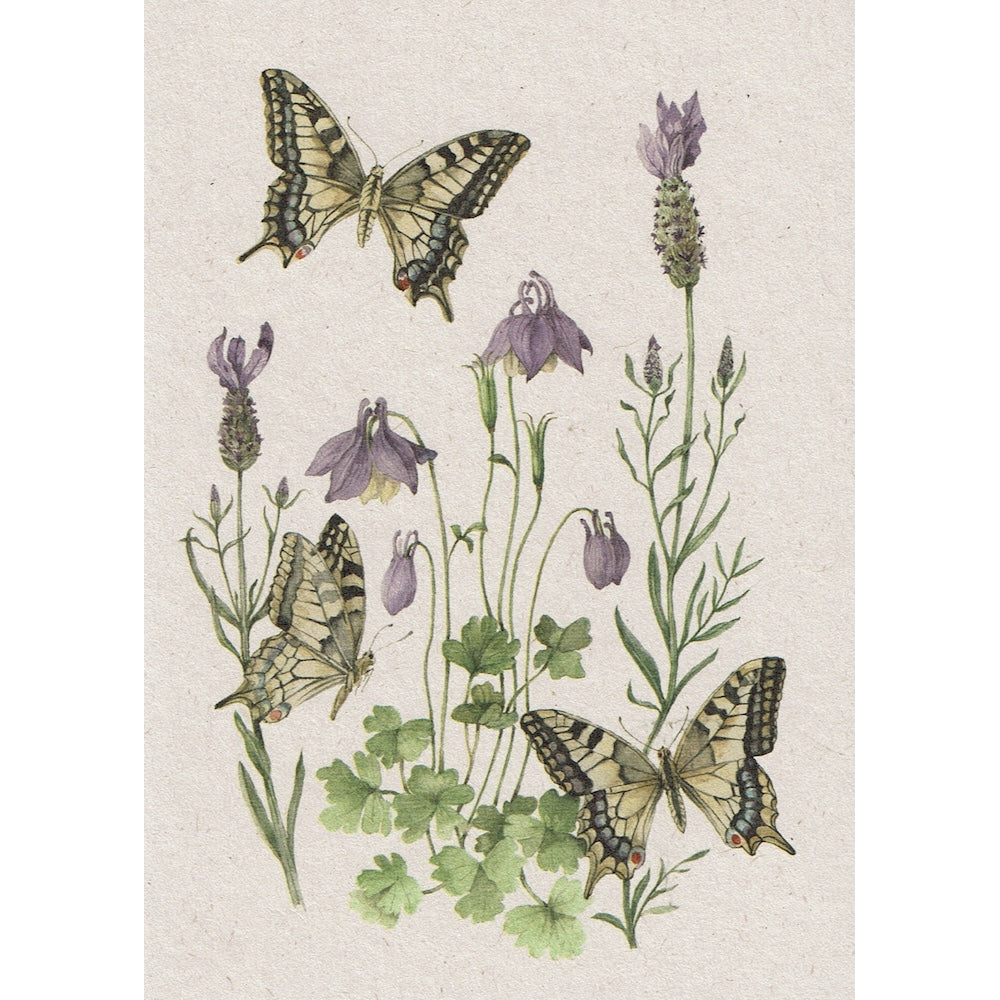 Postkaart Vlindertuin