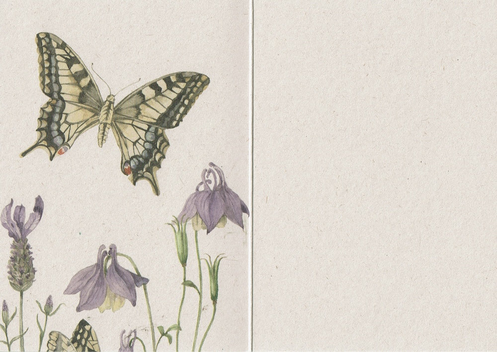 Postkaart Vlindertuin binnenzijde