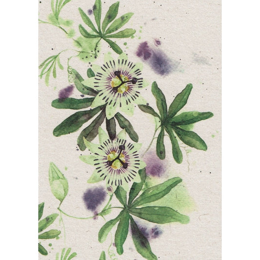 Postkaart Passiebloem
