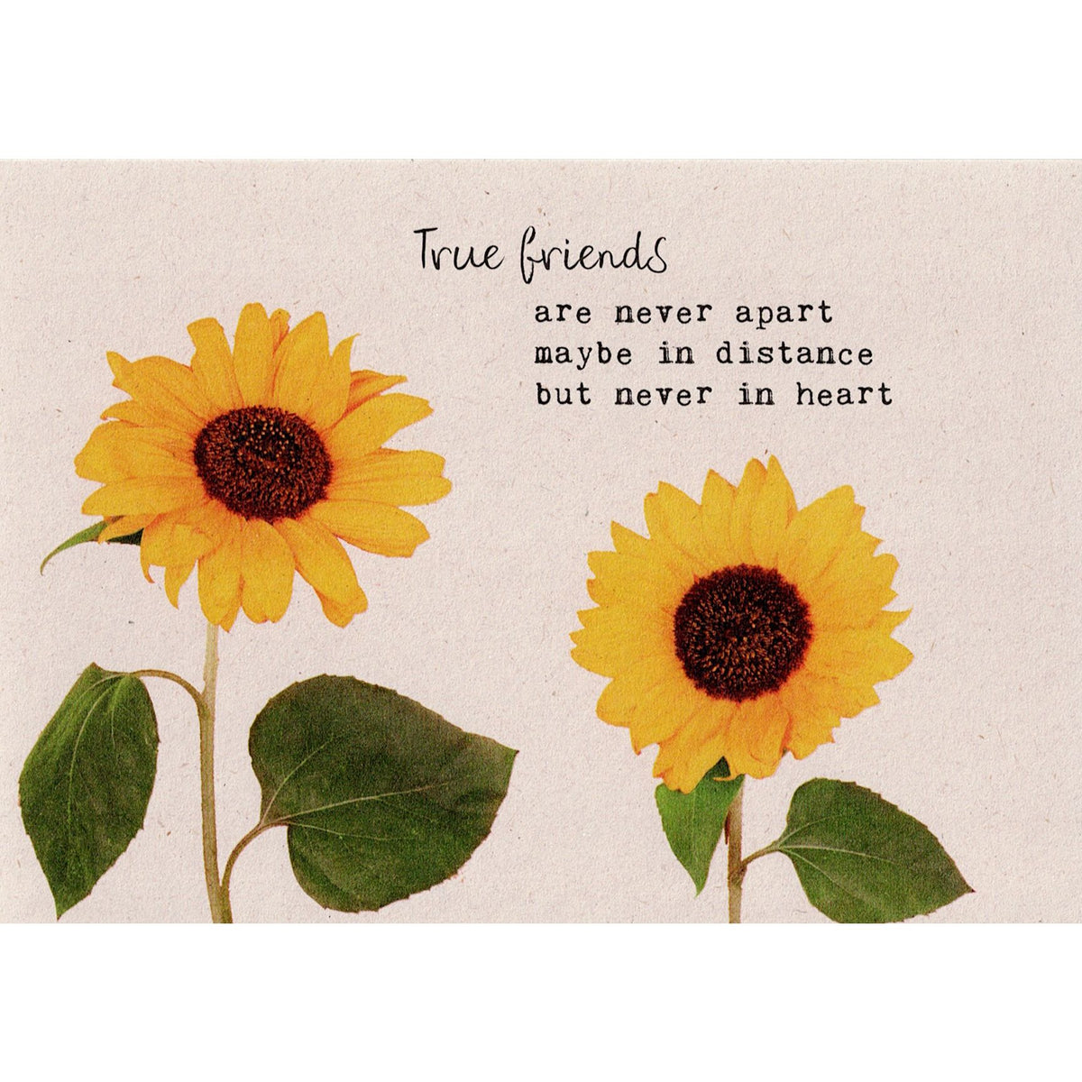 Postkaart True friends