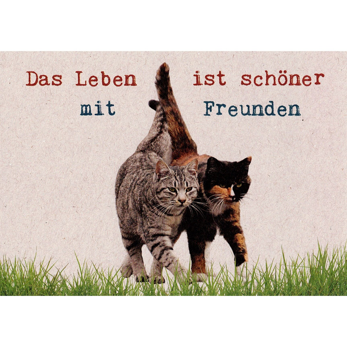 Postkarte Das Leben ist schöner mit Freuden