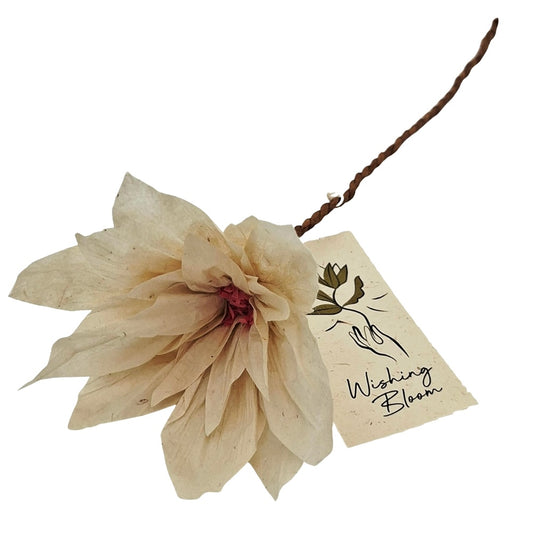 Wensbloem Lotus met kaartje