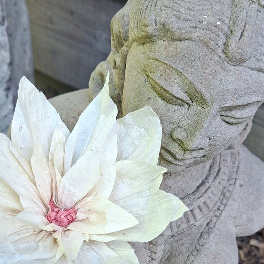 Wensbloem Lotus met Boeddha