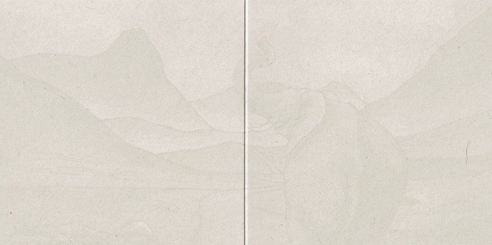 Wenskaart met olifant