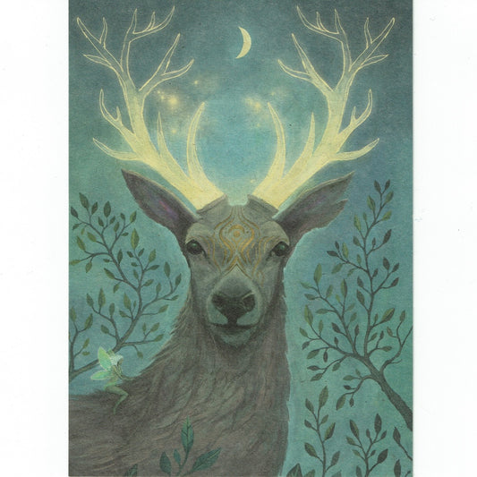 Postkarte Hirsch