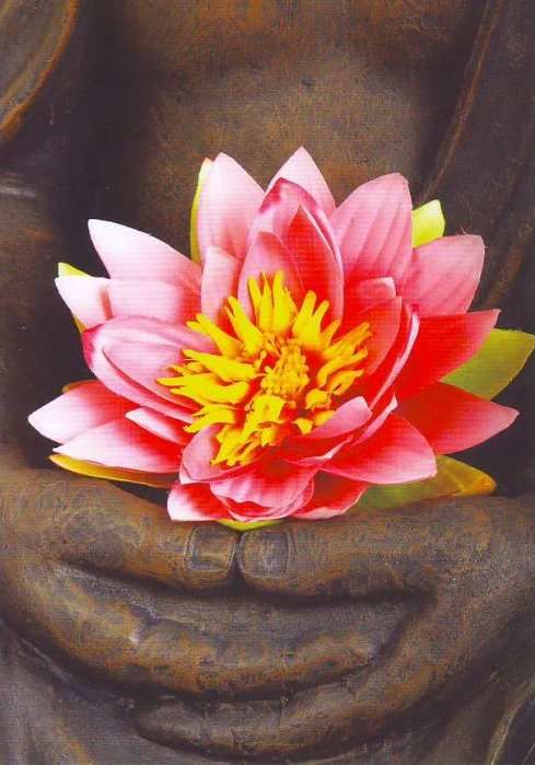 Postkaart Buddha lotus