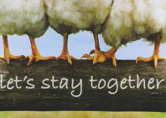 Postkaart Let's stay together