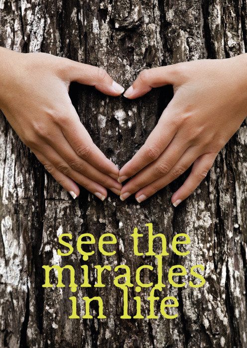 Postkaart See the miracles in life