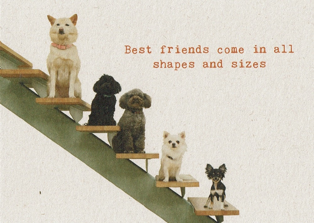 Postkaart Best friends