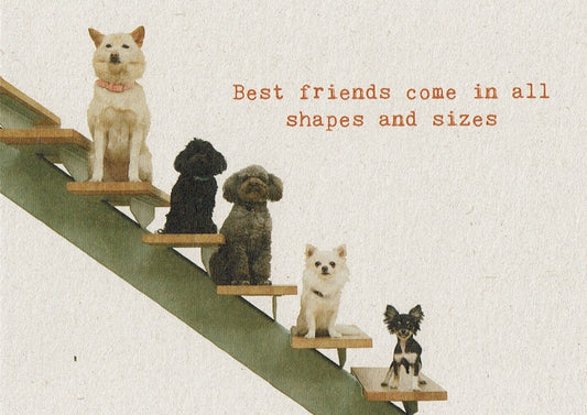 Postkaart Best friends