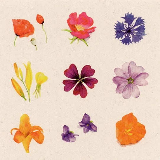 Bloemen stickers