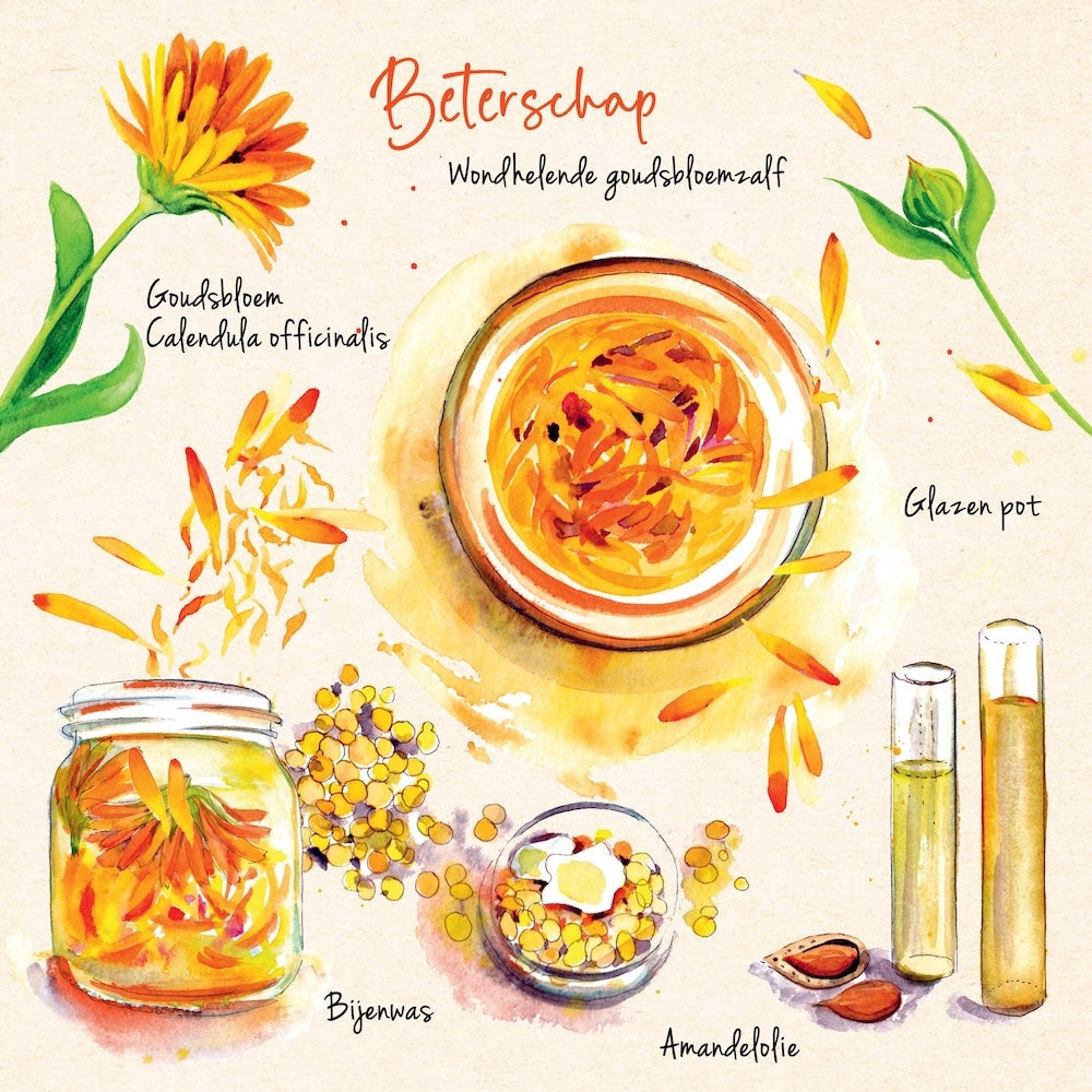 kruidenrecepten wondhelende goudsbloemzalf