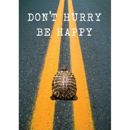 Magneet schildpad Dont hurry be happy