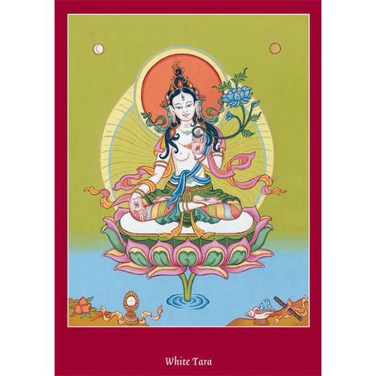 Postcard White Tara