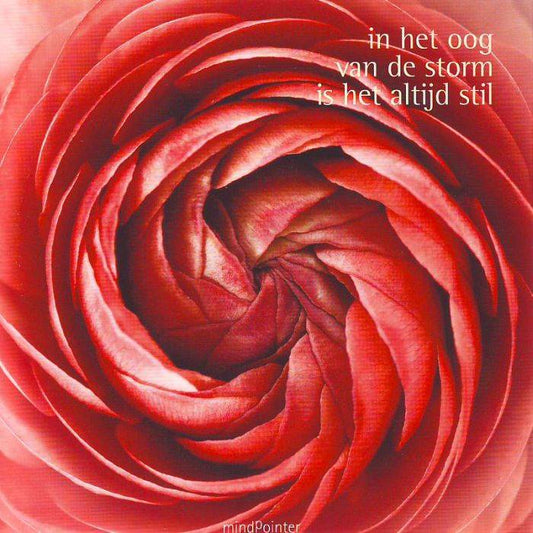 Postkaart In het oog van de storm