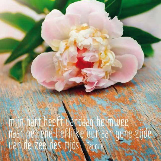 Postkaart Mijn hart heeft vandaag heimwee