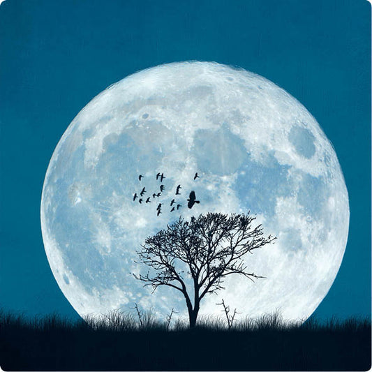 Postkaart Volle maan