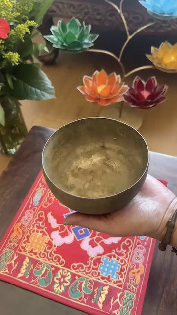 Antieke Klankschaal Thadobati video