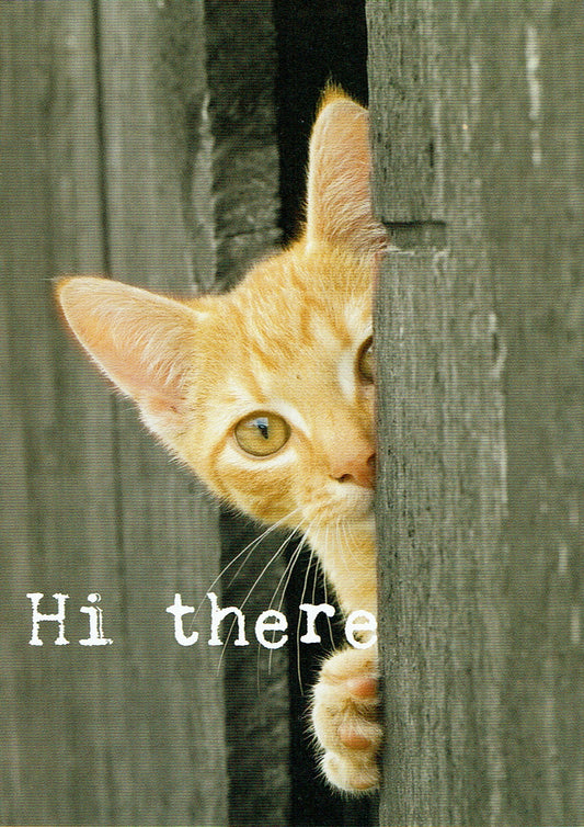 Postkaart Hi there