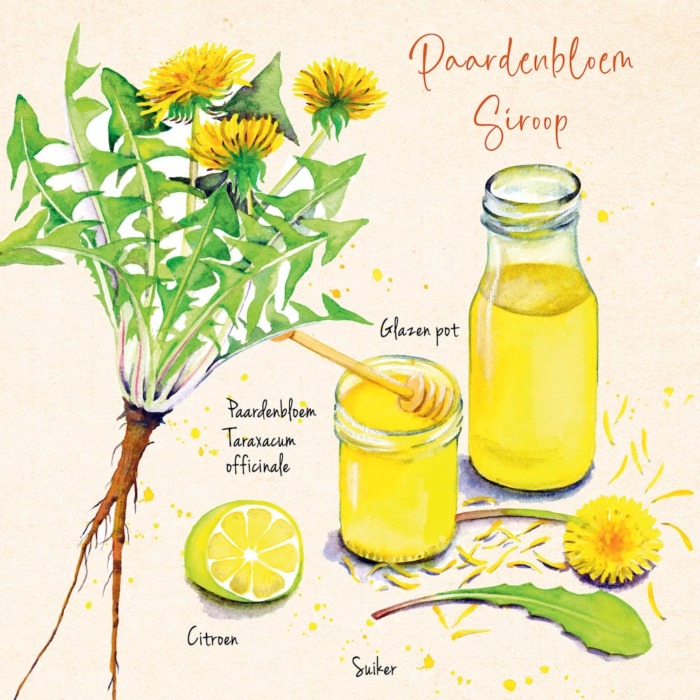 Wildplukrcepten paardenbloemsiroop