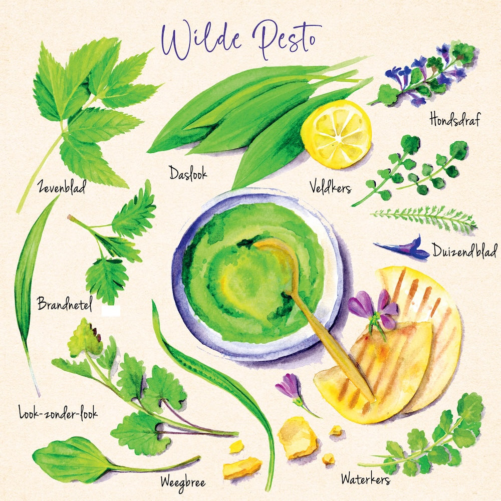 Wildplukrecepten wilde pesto