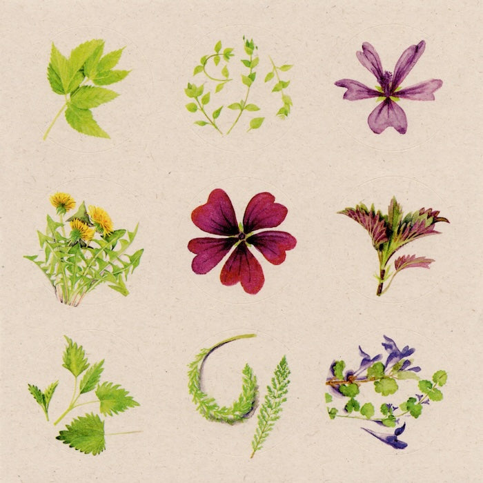 Wildplukrecepten stikker