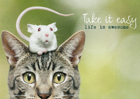 Postkaart Take it easy