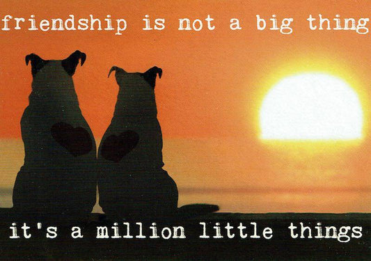 Postkaart Friendship is not a big thing