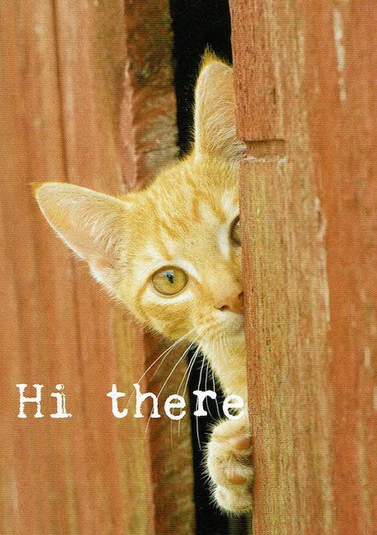 Postkaart Hi there