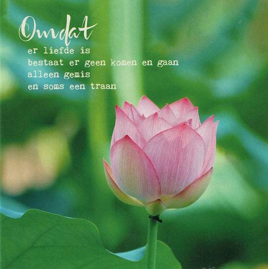 Postkaart Omdat er liefde is