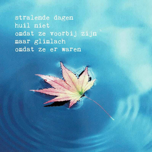 Postkaart Stralende dagen huil niet